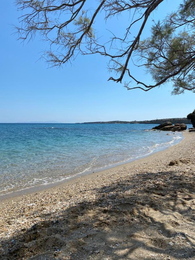 Νησιώτικο Ξενοδοχείο Δρυός Εξωτερικό φωτογραφία