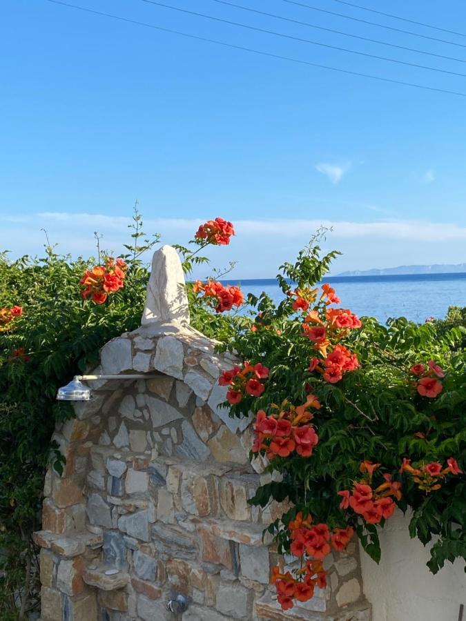 Νησιώτικο Ξενοδοχείο Δρυός Εξωτερικό φωτογραφία