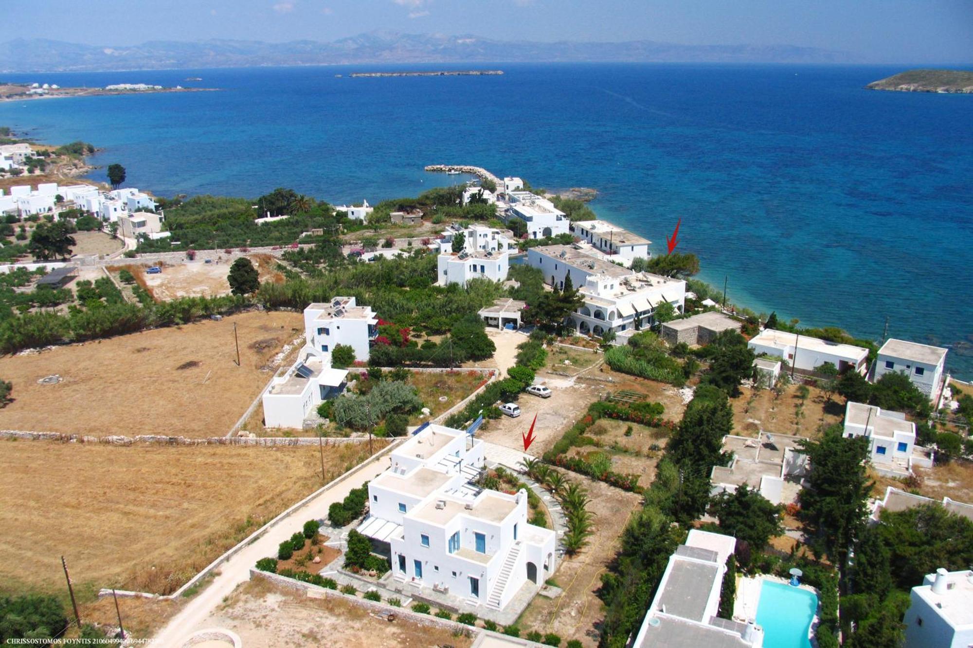 Νησιώτικο Ξενοδοχείο Δρυός Εξωτερικό φωτογραφία