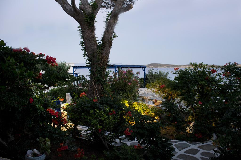 Νησιώτικο Ξενοδοχείο Δρυός Εξωτερικό φωτογραφία