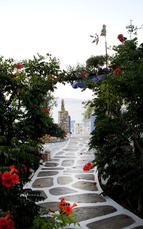 Νησιώτικο Ξενοδοχείο Δρυός Εξωτερικό φωτογραφία